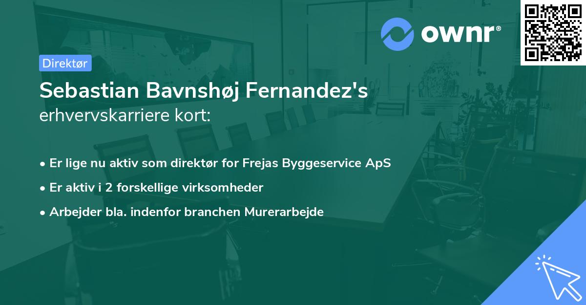 Sebastian Bavnshøj Fernandez's erhvervskarriere kort