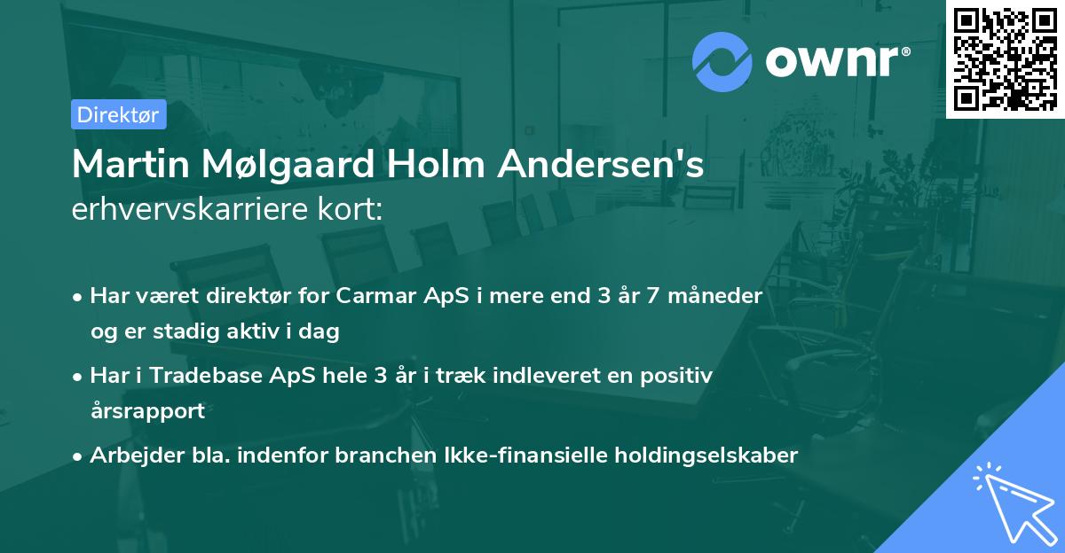 Martin Mølgaard Holm Andersen's erhvervskarriere kort