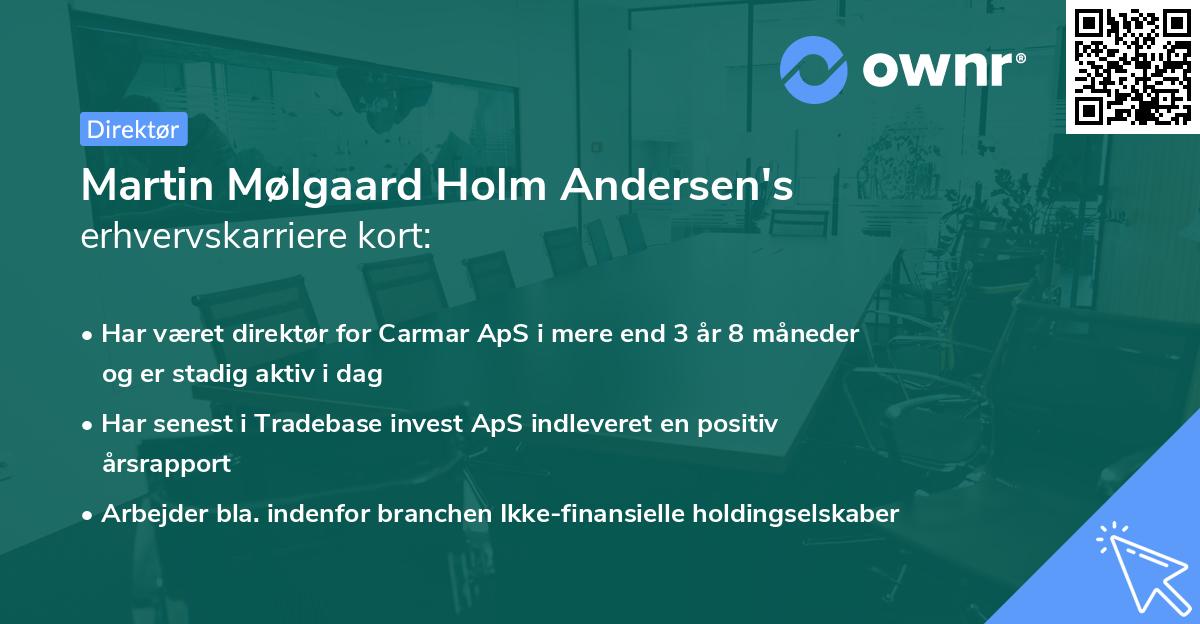 Martin Mølgaard Holm Andersen's erhvervskarriere kort