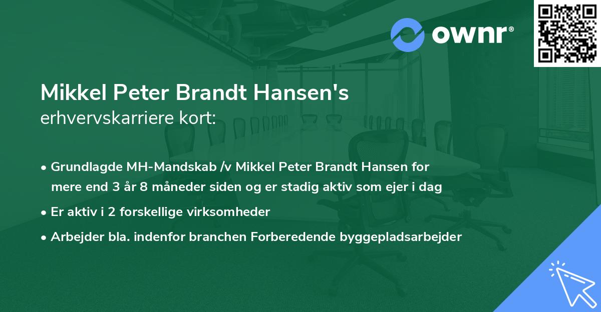 Mikkel Peter Brandt Hansen's erhvervskarriere kort