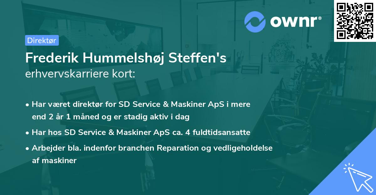 Frederik Hummelshøj Steffen's erhvervskarriere kort