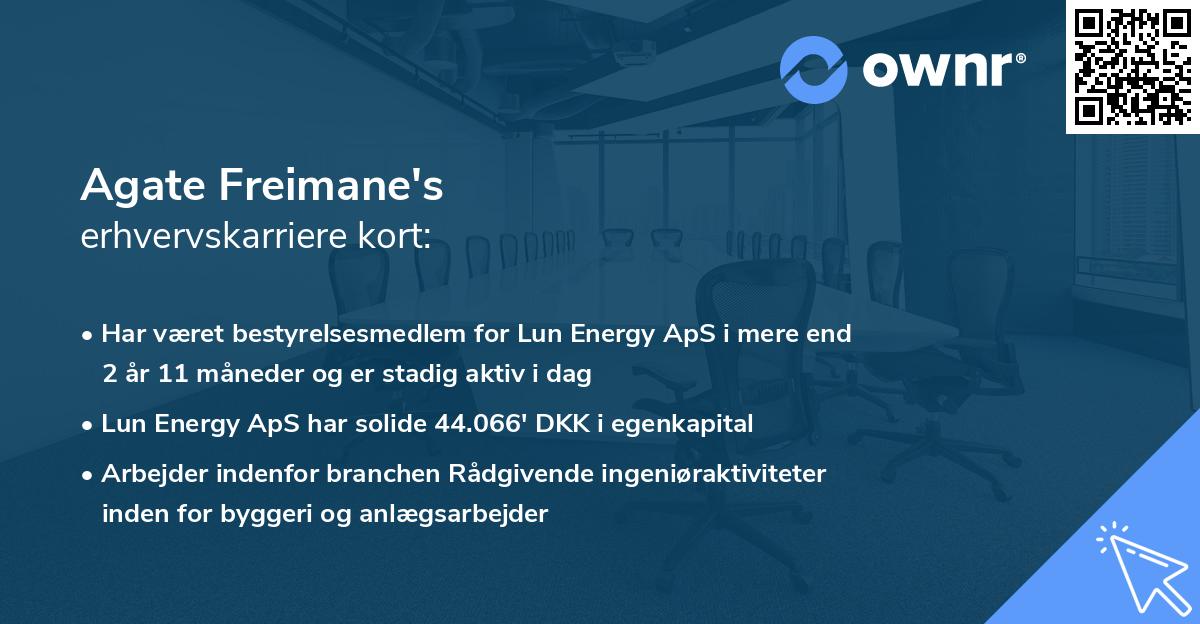 Agate Freimane's erhvervskarriere kort