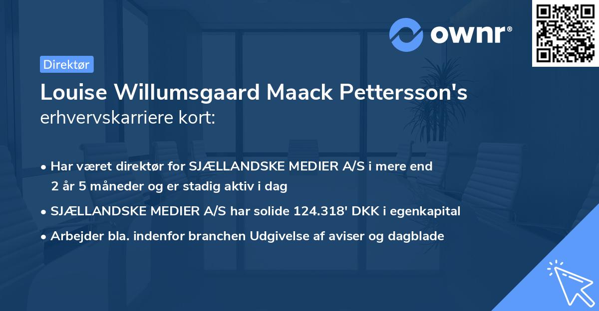 Louise Willumsgaard Maack Pettersson's erhvervskarriere kort