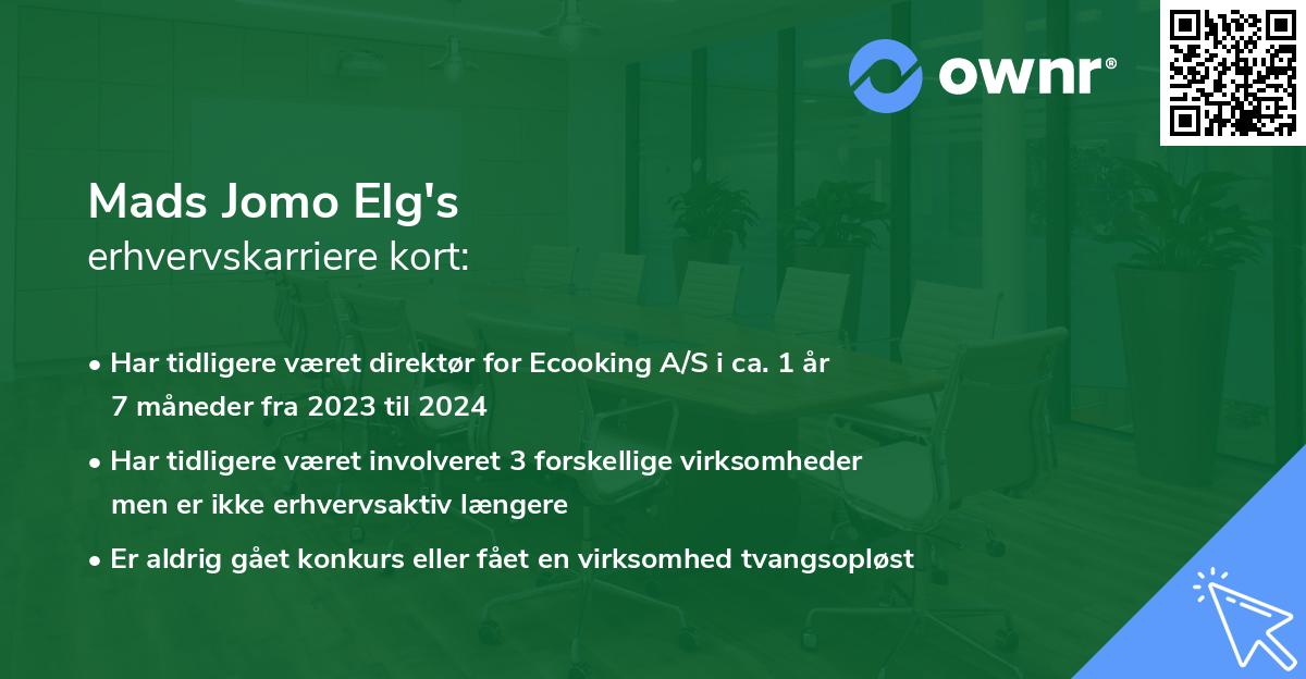 Mads Jomo Elg's erhvervskarriere kort