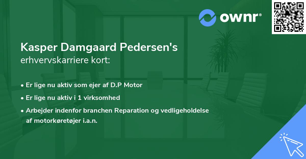 Kasper Damgaard Pedersen's erhvervskarriere kort