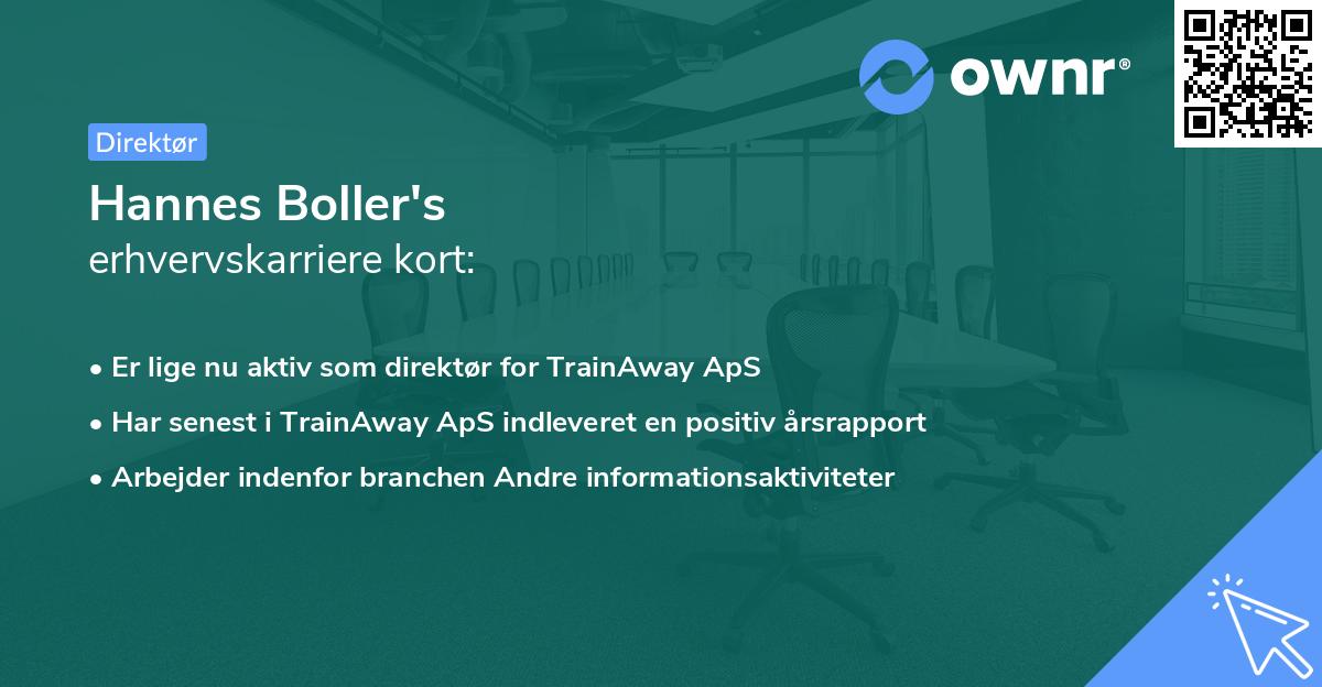 Hannes Boller's erhvervskarriere kort