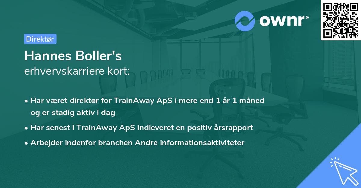 Hannes Boller's erhvervskarriere kort
