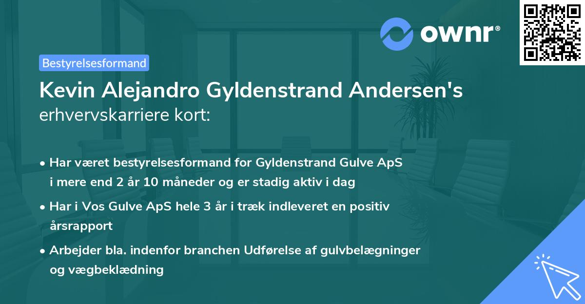 Kevin Alejandro Gyldenstrand Andersen's erhvervskarriere kort