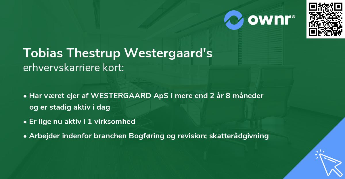 Tobias Thestrup Westergaard's erhvervskarriere kort