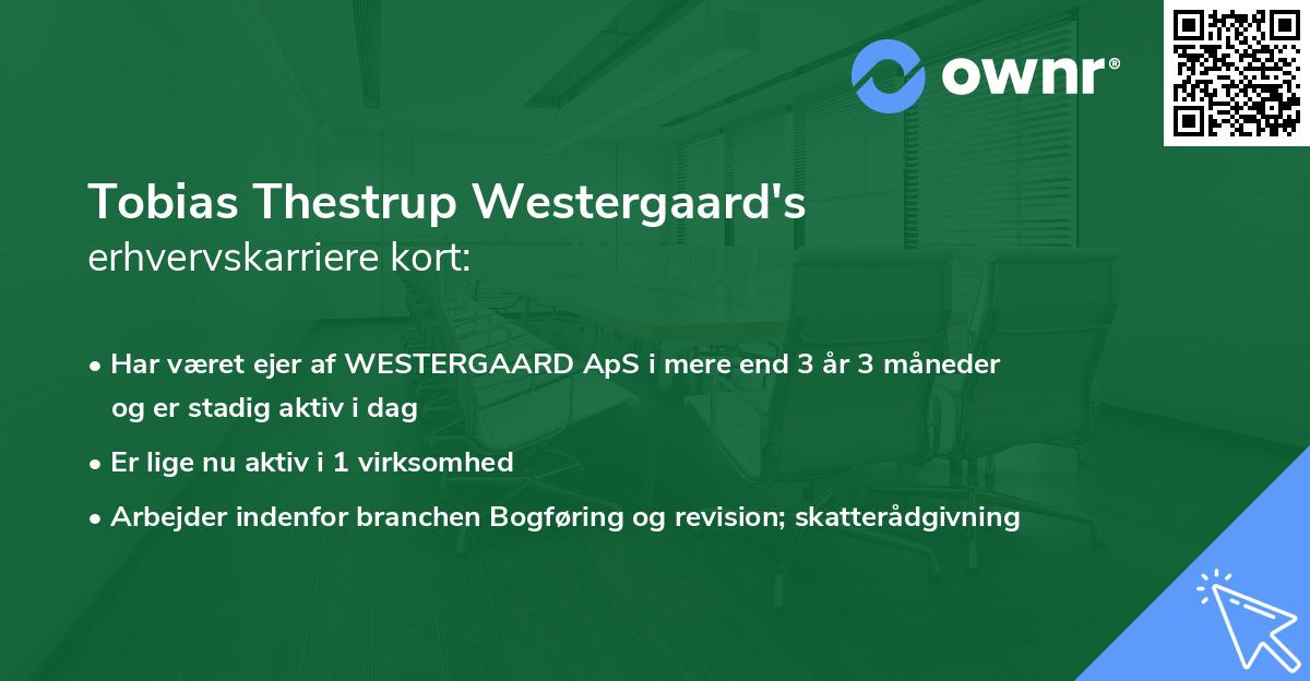 Tobias Thestrup Westergaard's erhvervskarriere kort