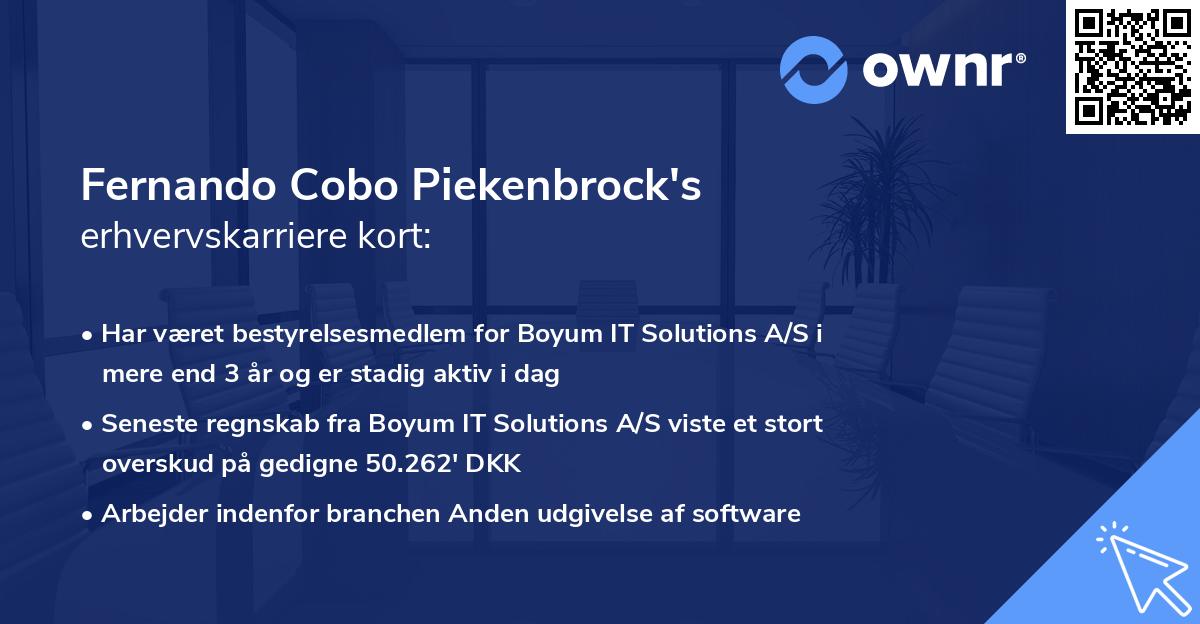 Fernando Cobo Piekenbrock's erhvervskarriere kort