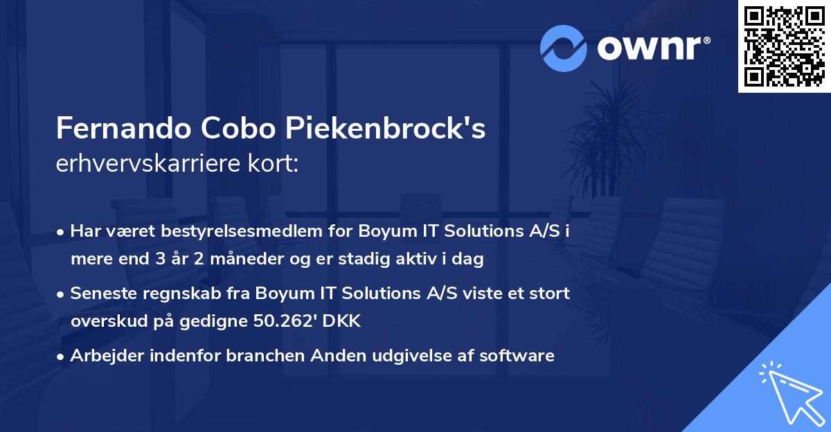 Fernando Cobo Piekenbrock's erhvervskarriere kort