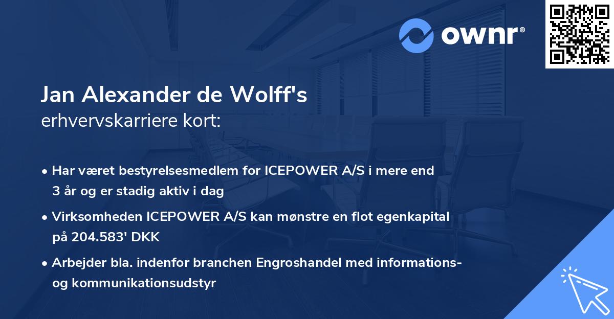 Jan Alexander de Wolff's erhvervskarriere kort