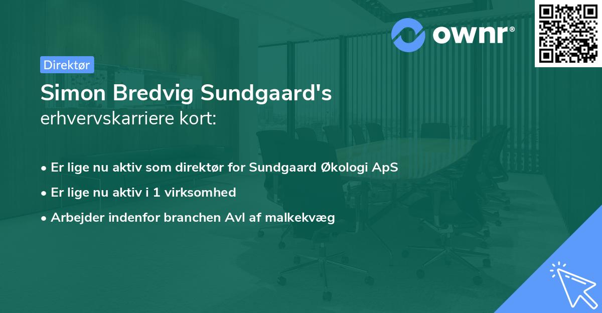Simon Bredvig Sundgaard's erhvervskarriere kort