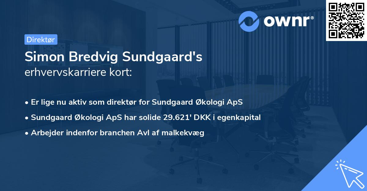 Simon Bredvig Sundgaard's erhvervskarriere kort