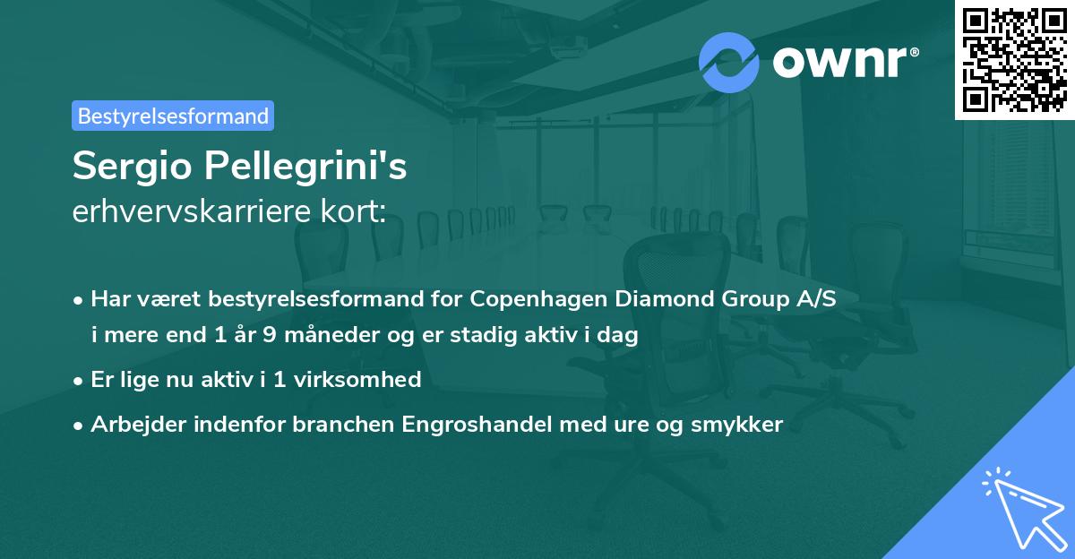 Sergio Pellegrini's erhvervskarriere kort