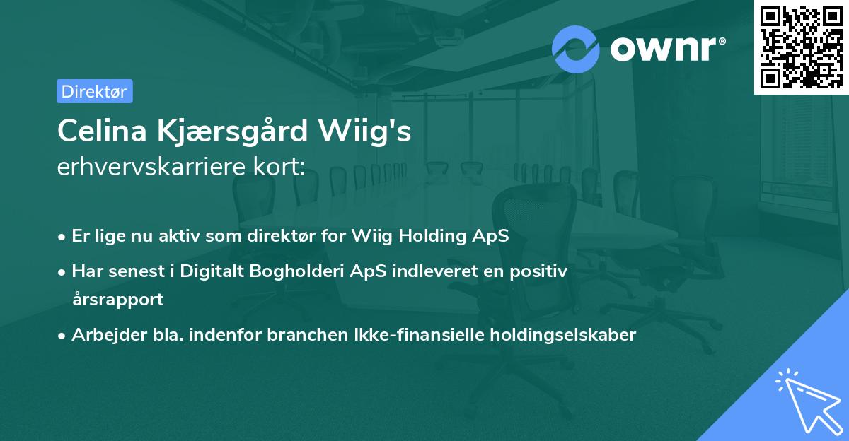 Celina Kjærsgård Wiig's erhvervskarriere kort