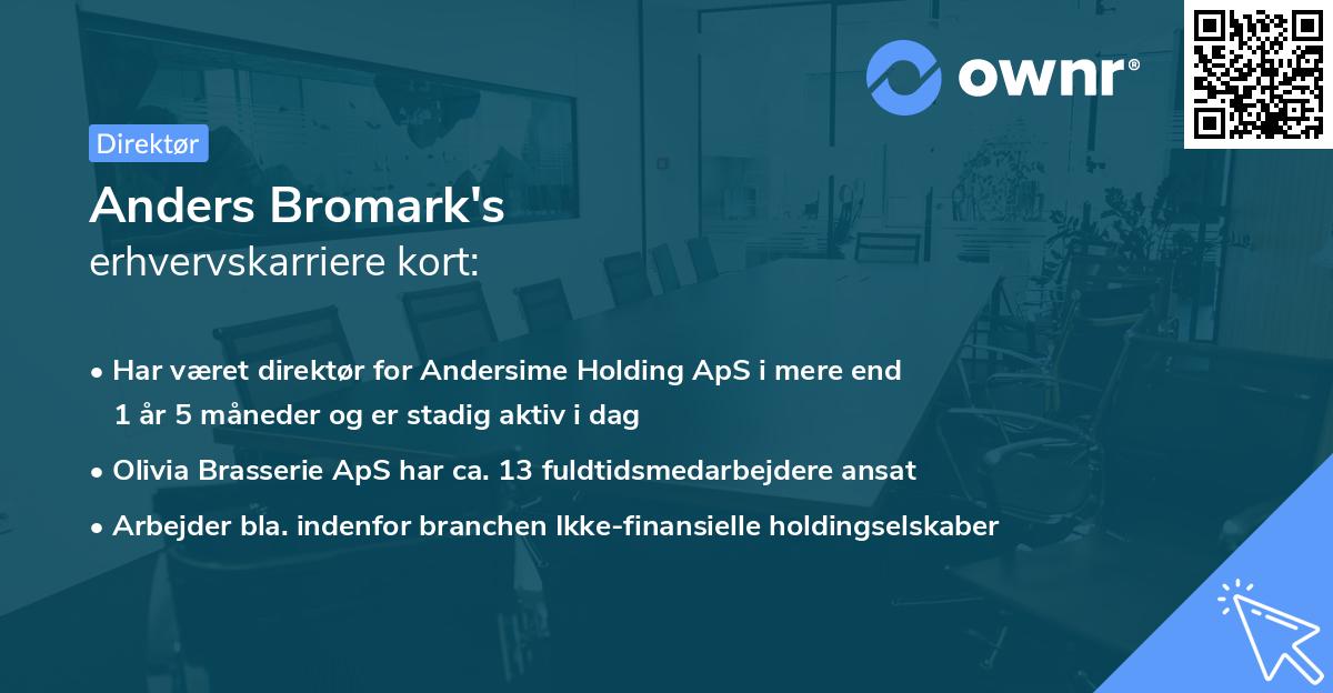 Anders Bromark's erhvervskarriere kort
