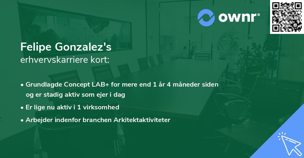 Felipe Gonzalez's erhvervskarriere kort