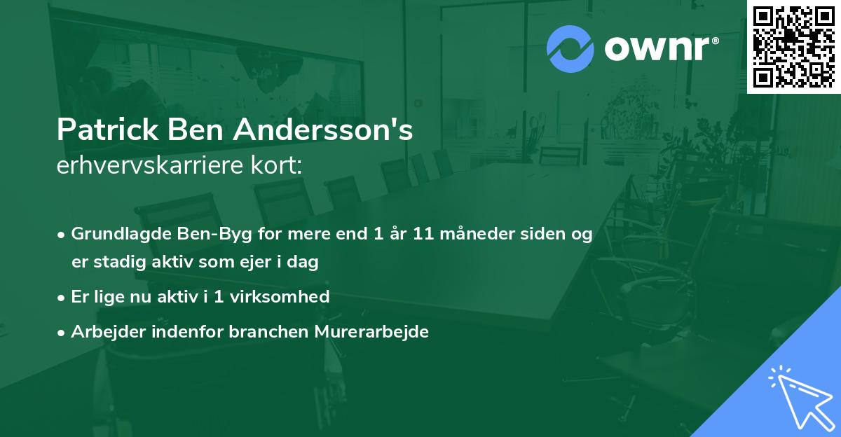 Patrick Ben Andersson's erhvervskarriere kort
