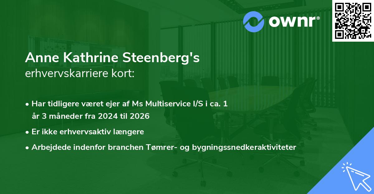 Anne Kathrine Steenberg's erhvervskarriere kort