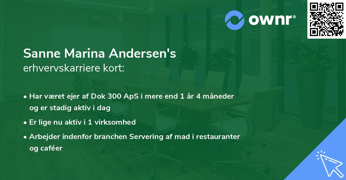 Sanne Marina Andersen's erhvervskarriere kort