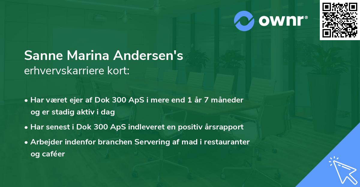 Sanne Marina Andersen's erhvervskarriere kort