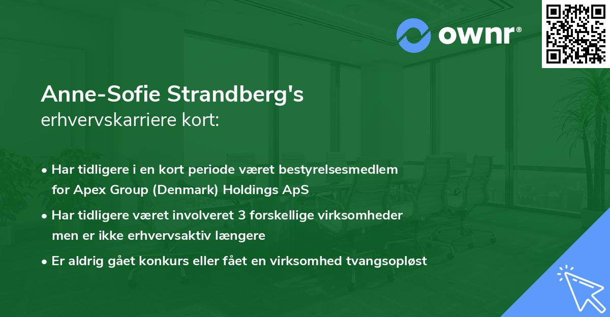 Anne-Sofie Strandberg's erhvervskarriere kort