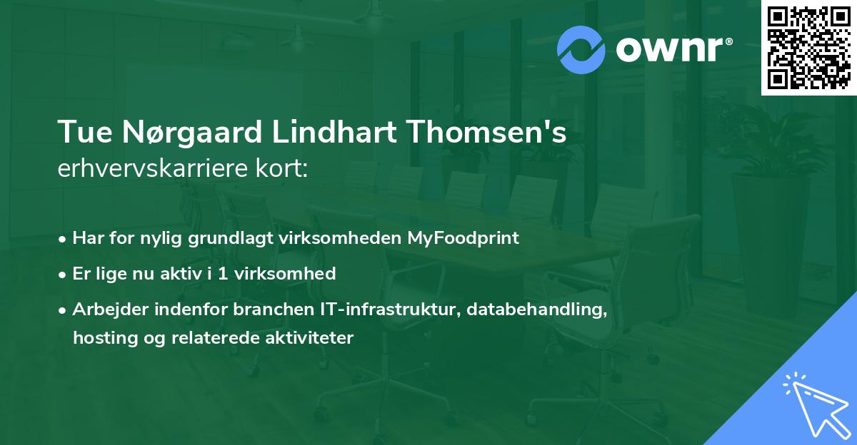 Tue Nørgaard Lindhart Thomsen's erhvervskarriere kort