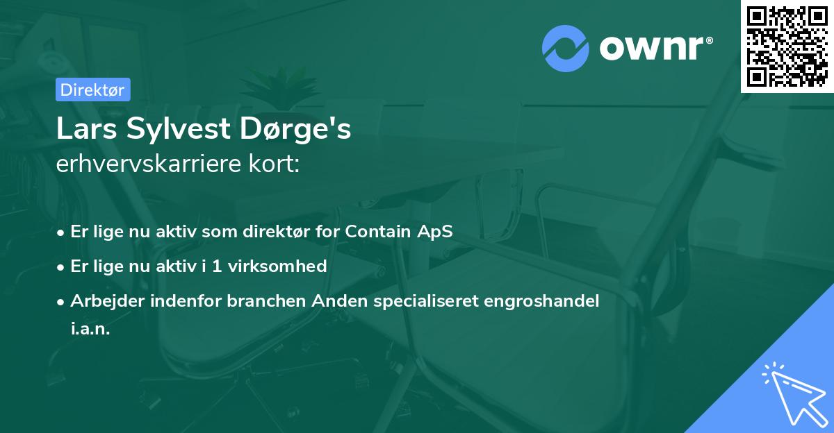 Lars Sylvest Dørge's erhvervskarriere kort