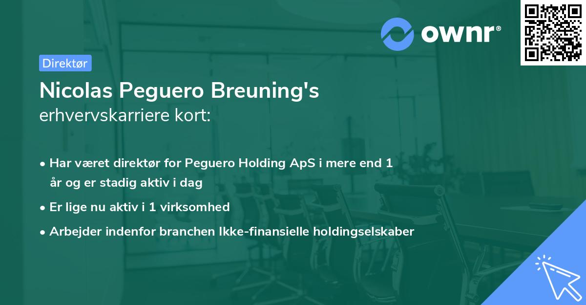 Nicolas Peguero Breuning's erhvervskarriere kort