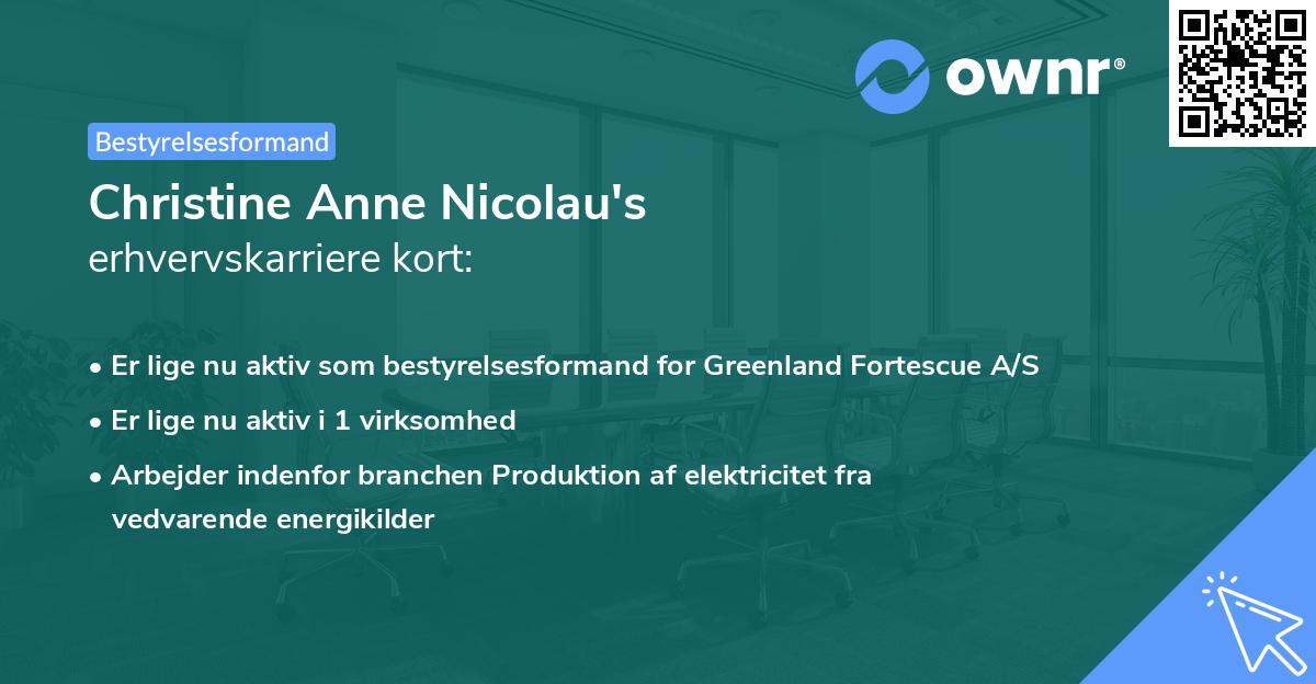 Christine Anne Nicolau's erhvervskarriere kort