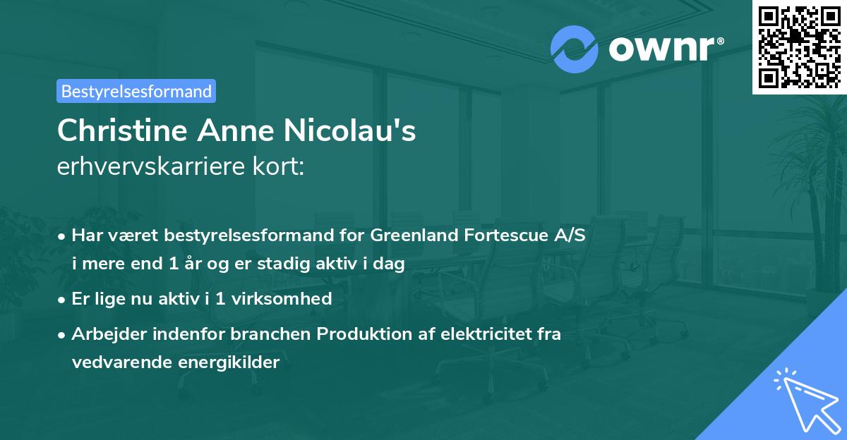 Christine Anne Nicolau's erhvervskarriere kort