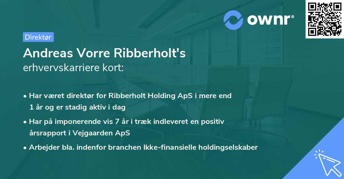 Andreas Vorre Ribberholt's erhvervskarriere kort