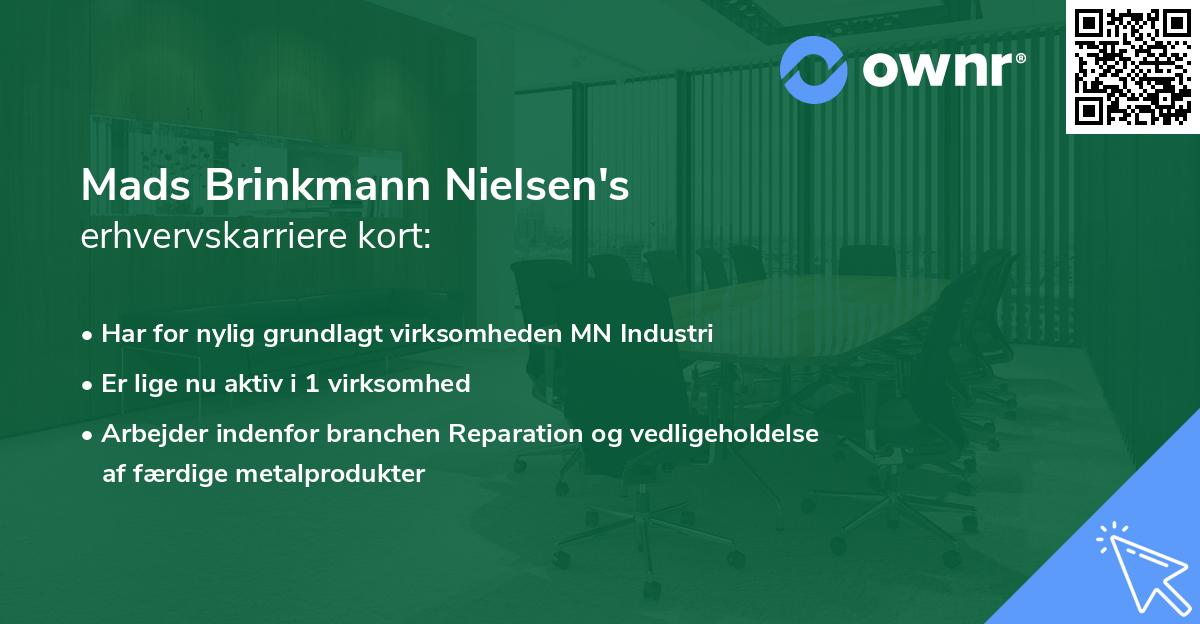 Mads Brinkmann Nielsen's erhvervskarriere kort
