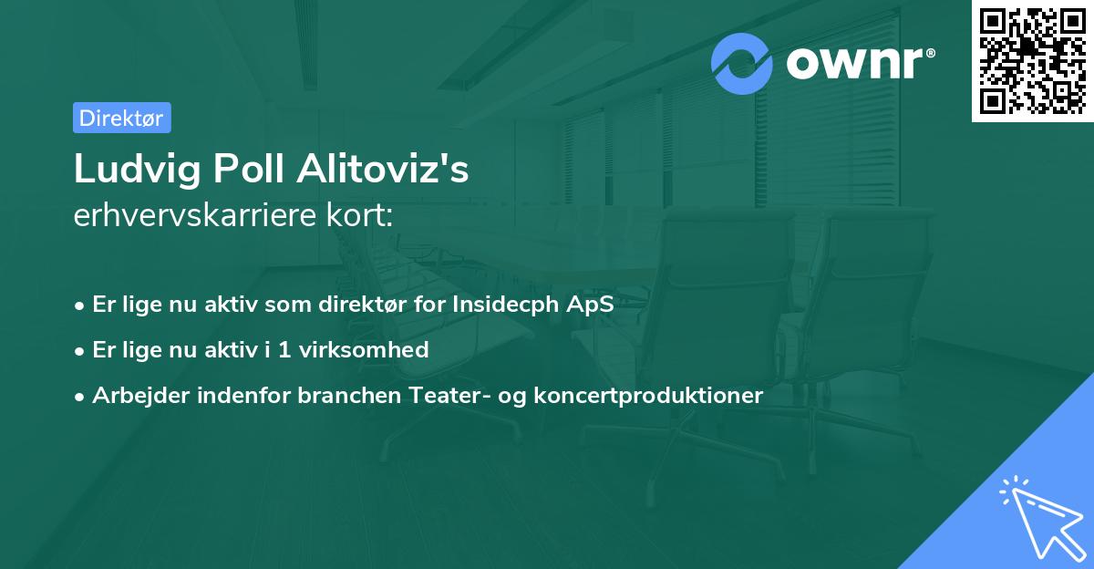 Ludvig Poll Alitoviz's erhvervskarriere kort
