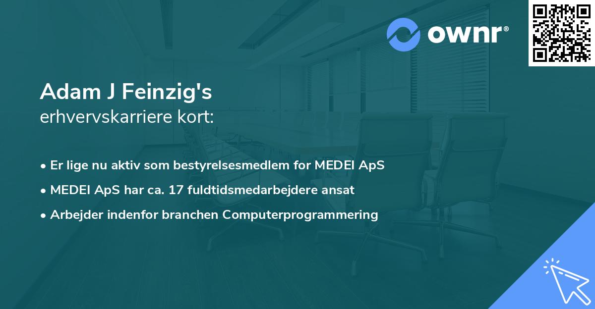 Adam J Feinzig's erhvervskarriere kort