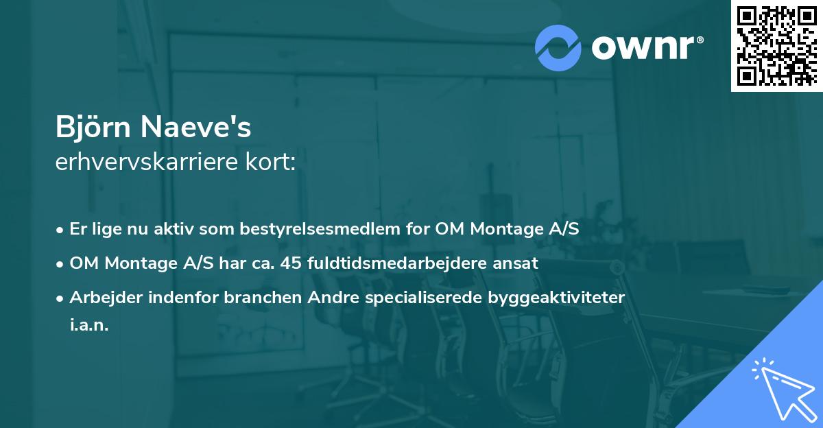 Björn Naeve's erhvervskarriere kort