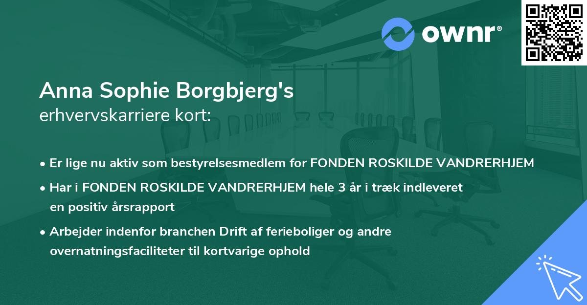 Anna Sophie Borgbjerg's erhvervskarriere kort