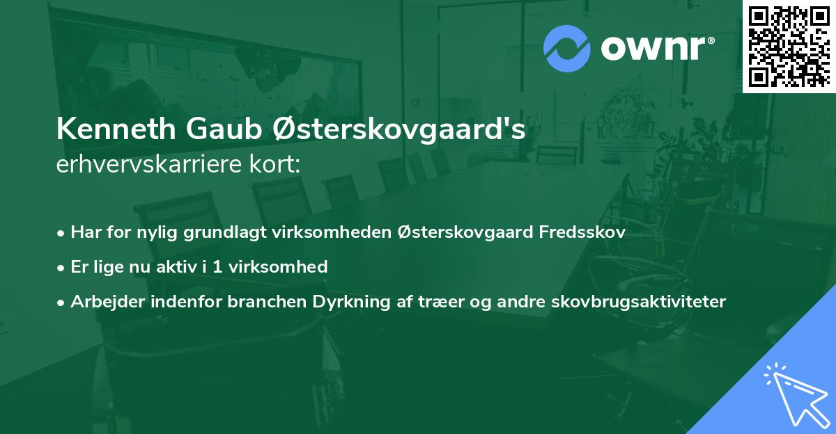 Kenneth Gaub Østerskovgaard's erhvervskarriere kort