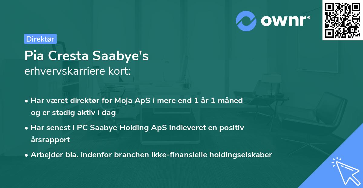 Pia Cresta Saabye's erhvervskarriere kort
