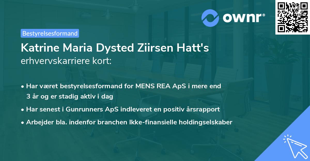 Katrine Maria Dysted Ziirsen Hatt's erhvervskarriere kort