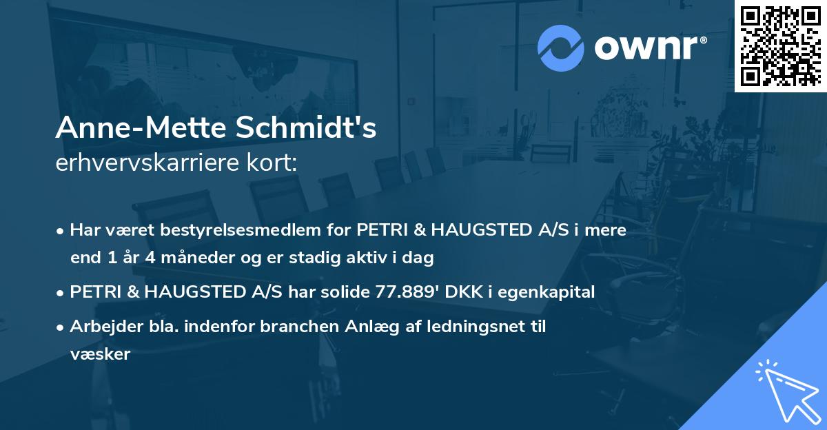 Anne-Mette Schmidt's erhvervskarriere kort