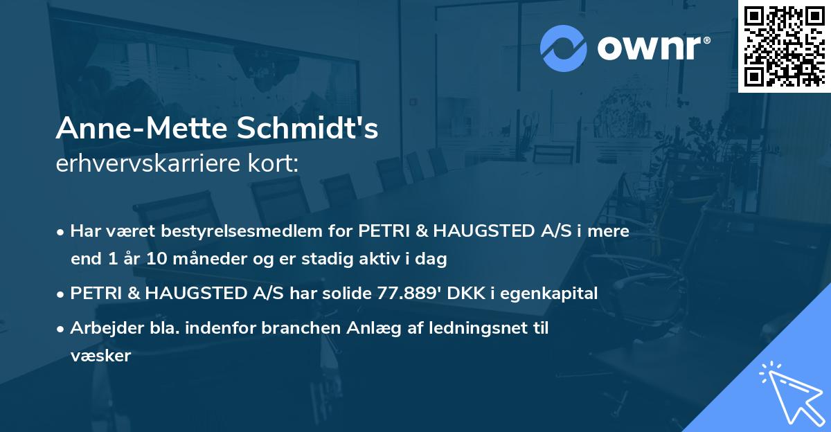Anne-Mette Schmidt's erhvervskarriere kort