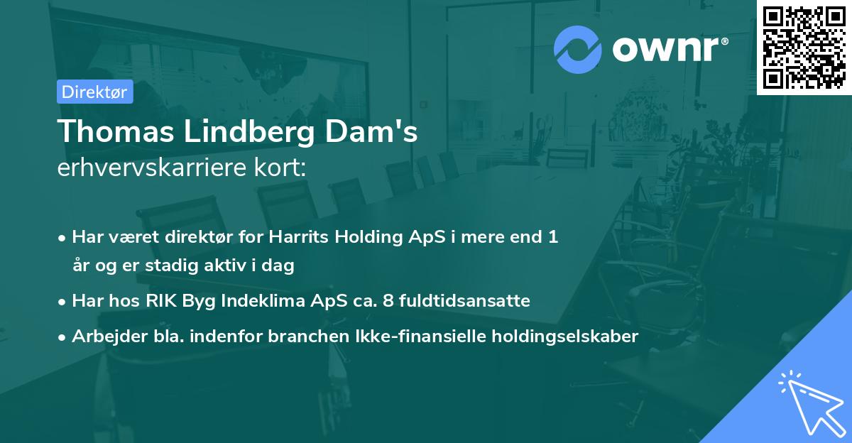 Thomas Lindberg Dam's erhvervskarriere kort