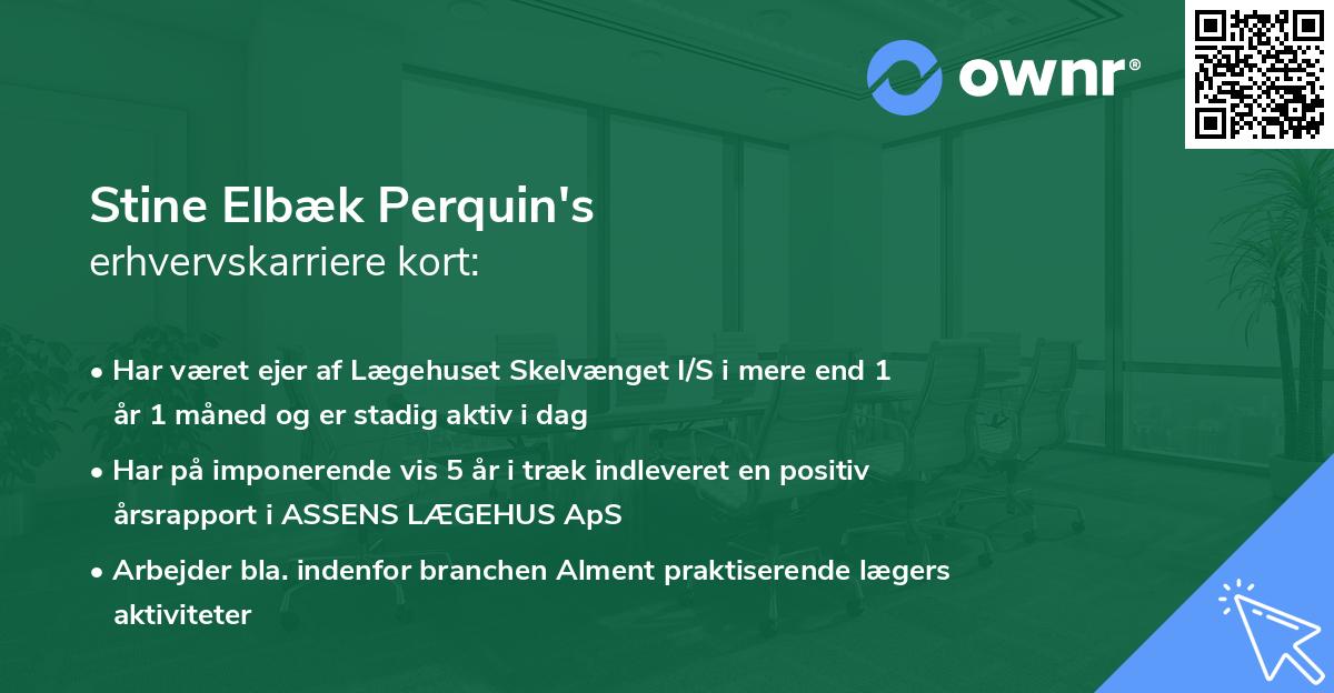 Stine Elbæk Perquin's erhvervskarriere kort