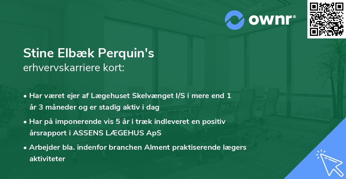 Stine Elbæk Perquin's erhvervskarriere kort