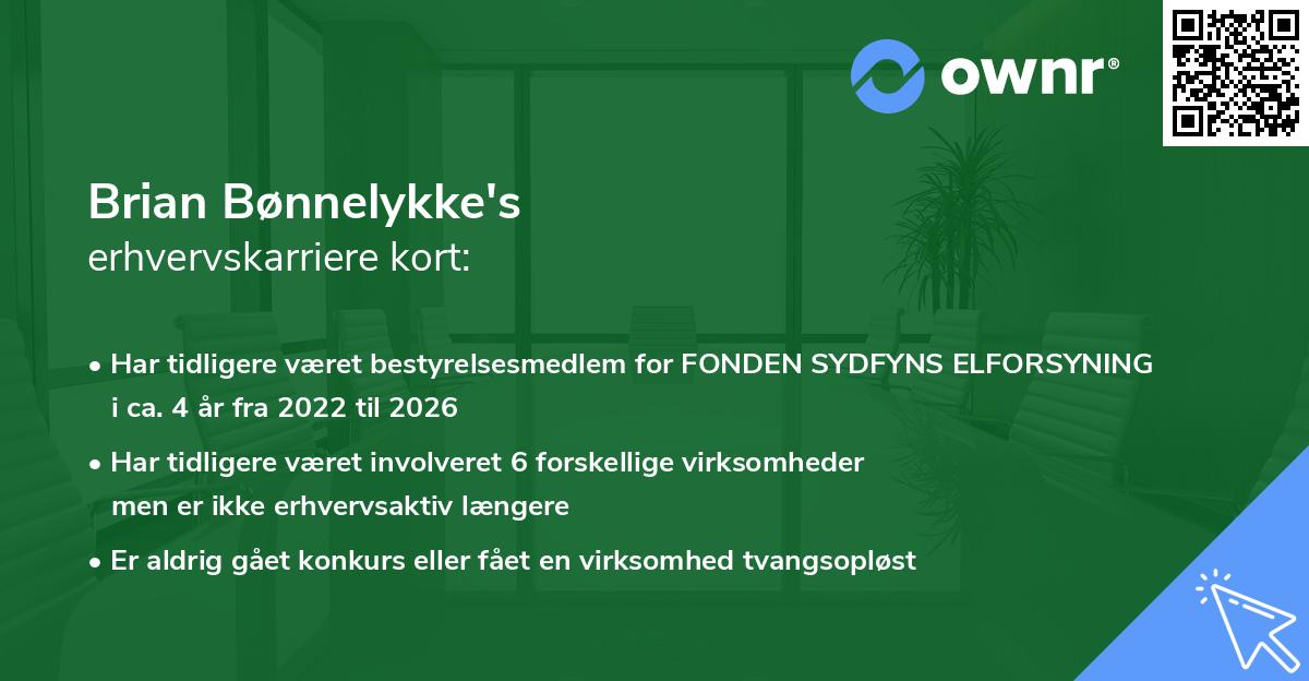 Brian Bønnelykke's erhvervskarriere kort