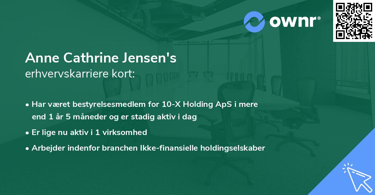 Anne Cathrine Jensen's erhvervskarriere kort