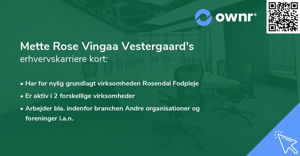Mette Rose Vingaa Vestergaard's erhvervskarriere kort